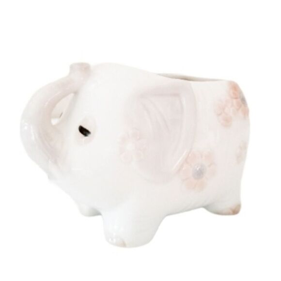 Elephant planter great for succulents nursery - Picture 1 of 6